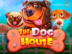 Red dog casino app download31